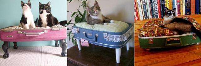 Ненужный чемодан может стать любимым местом для животных в виде кроватки