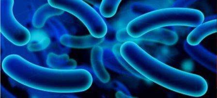Какие бактерии использовать в септиках и выгребных ямах