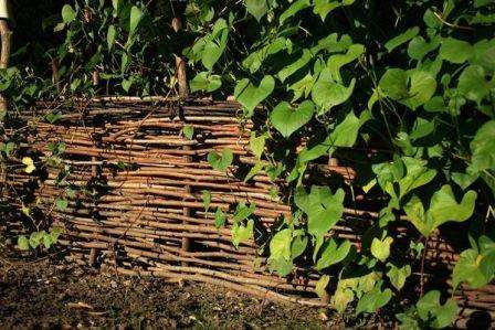 Плетеный забор традиционно используется для ограждения огорода или сада