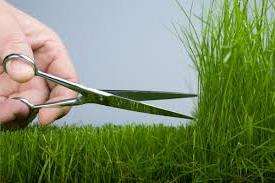 Те, кто посеял на своем участке газонную траву, часто сталкиваются с проблемой ухода за ней осенью и подготовке к зиме. От того, насколько правильными будут эти действия, напрямую зависит внешний вид газона весной