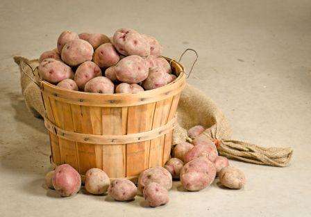 Хранение картофеля в погребе зимой