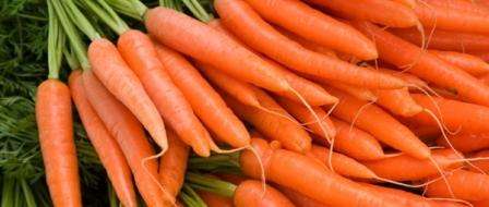 Когда и как правильно убирать урожай моркови