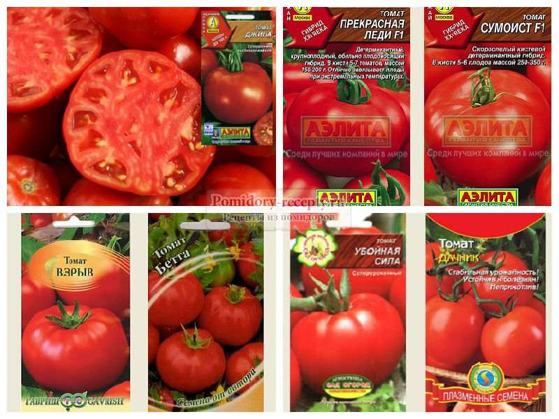 лучшие сорта помидоров для открытого грунта