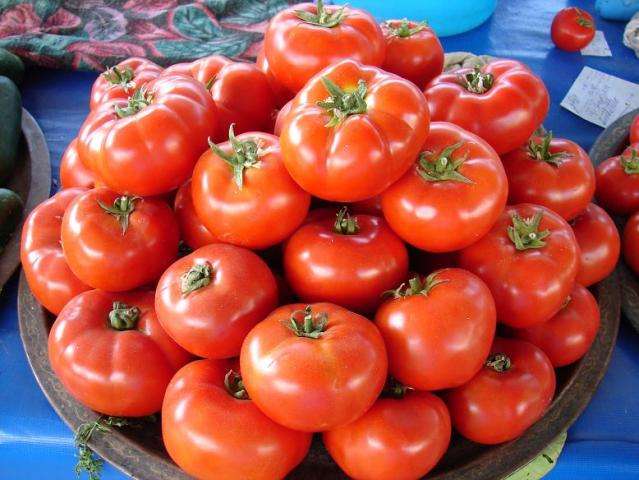 Увеличиваем количество урожая помидор с помощью нехитрых правил