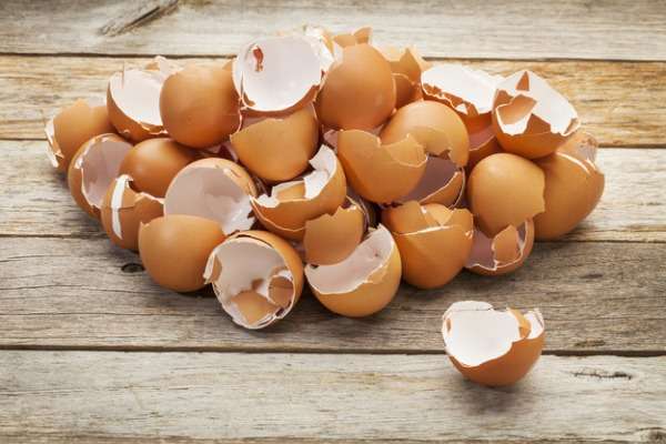 Как использовать скорлупу яиц для удобрения?