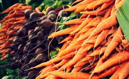  Однако для того чтобы отправить урожай моркови и свеклы на хранение в течение зимы подходят только поздние сорта.