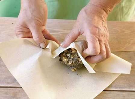 Хранить луковицы лучше всего в бумажных плотных пакетах или картонных коробках, в которых должны быть отверстия для вентиляции.