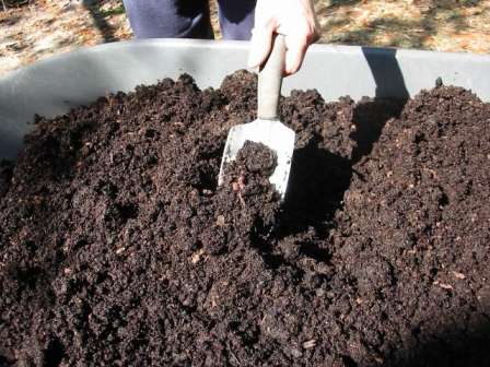 Чтобы компост созрел быстрее, в него можно поселить дождевых червей, а еще лучше — калифорнийских. Хотя за них и нужно будет выложить некую сумму, она с лихвой окупится, ведь они размножаются три или четыре раза за сезон.