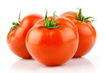Хотите вырастить крепкие кусты помидоров, усыпанные сочными здоровыми плодами? Приложите усилия, чтобы вырастить сильную рассаду.