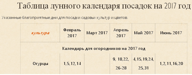 В 2017 году благоприятными днями для высадки рассады огурцов в грунт считают 15,19,24,25,31 мая, а что касается июня, то тут хорошо подойдут следующие даты — 1,2,11,16,20.