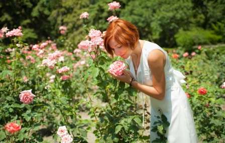 Роза полиантовая, выращивание из семян в домашних условиях которой не требует особых усилий, станет отличным украшением вашей территории.