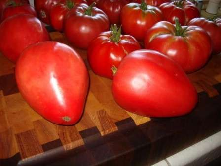 Следует отметить ряд особенностей сорта Мазарини. Например, обязательным является пасынкование томатов, ввиду их стремительного роста, а также подвязывание побегов