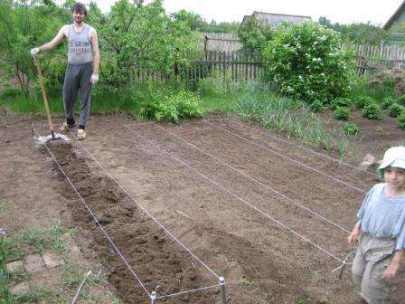 Мы предлагаем вам рассмотрите метод Митлайдера: овощеводство на малых площадях. Что это за метод? Как его использовать?