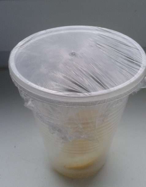 дрозофила: ловушка из пластикового стаканчика