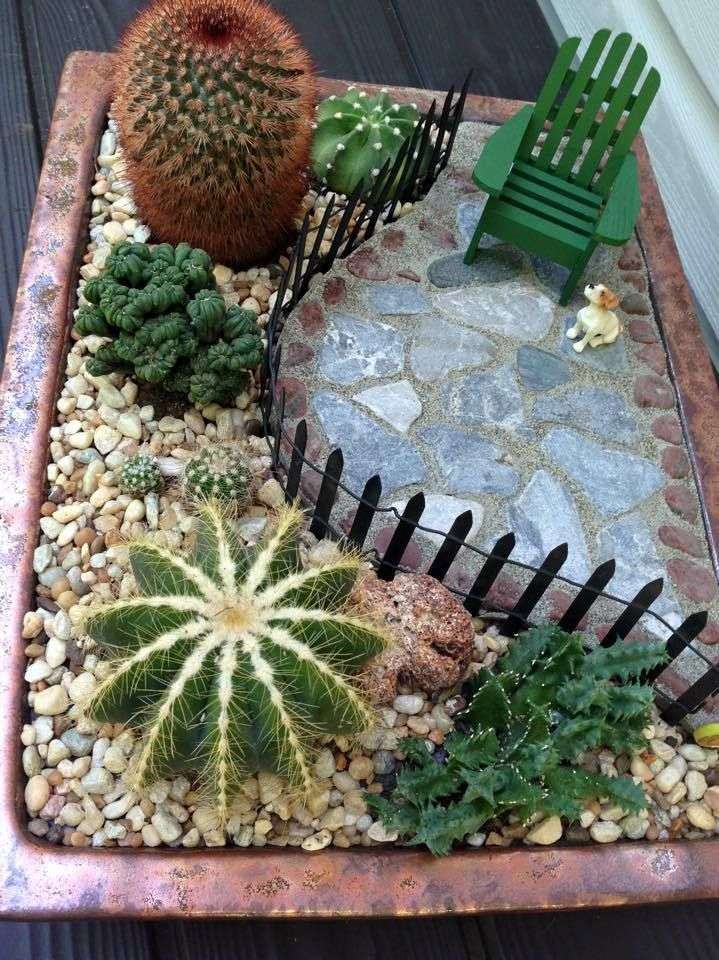 Подбор аксессуаров для мини-сада из кактусов