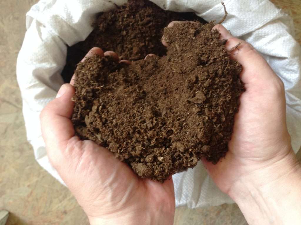 торф, как компонент почвы для рассады