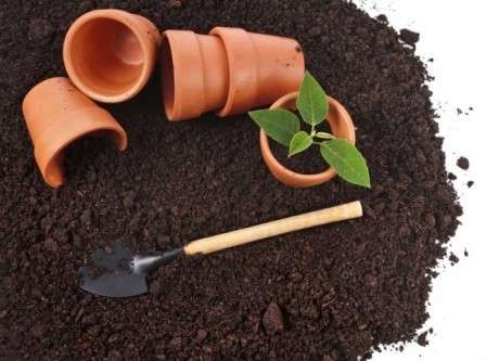 Что необходимо знать, чтобы самостоятельно приготовить почвосмесь для рассады?