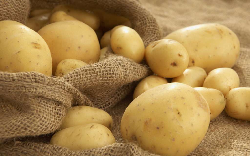 Картофель: особенности выбора