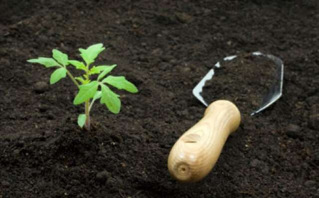 Соответствие рН почвы и потребностей растений