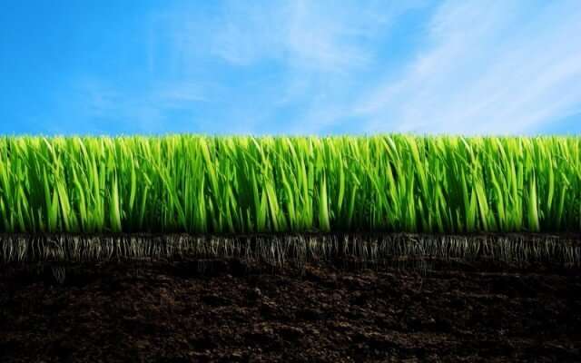 Улучшение почвы на садовом участке: анализ почв и способы улучшения