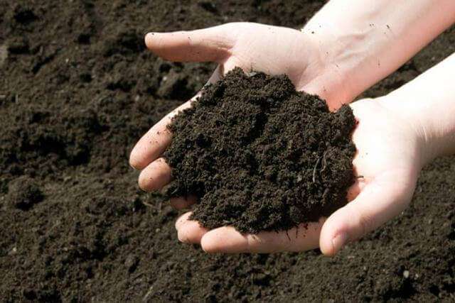 Сохранение почвы на участке и советы по улучшению